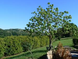 Hotels Hotel La Bastie d'Urfe : photos des chambres