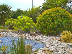 Maisons d'hotes Chambres d'Hotes Le Nid d'Iroise : photos des chambres