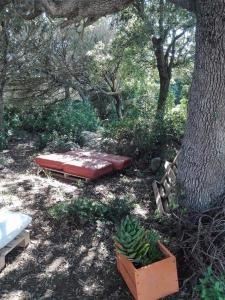 Eucaliptus Farm Retreat