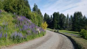 Cabaña La Cumeleña