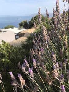 A la villa grand bleu Kea Greece