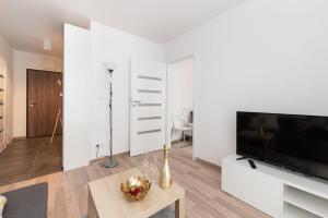 Super Apart Potrzebna 55 130