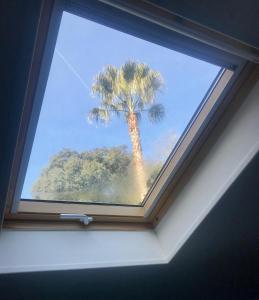 Maisons de vacances Havre de Paix : photos des chambres