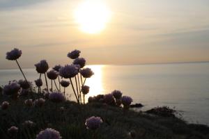 Hotel Da Cecco img47