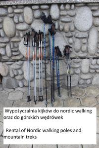 Willa Pod Zielonym Wierchem