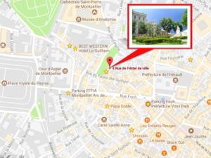 Le Platane de la canourgue