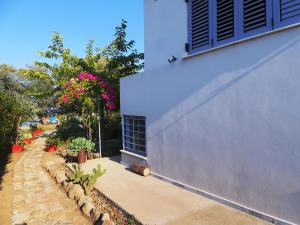 Luxury Island Villa, Aegina