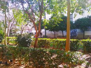 Ηeart of Athens, Solonos str.