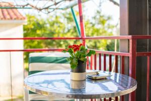 Apartments Pettener - great location