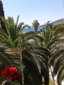 Apartmani i sobe Goca