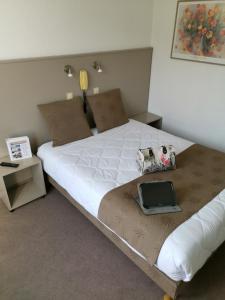Hotels Adonis Lourdes - Notre Dame de la Sarte : photos des chambres