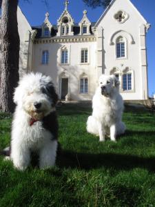 Le manoir de Sanilhac photo 12