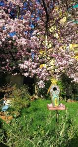 Lucca appartamento "Incanto" Toscana