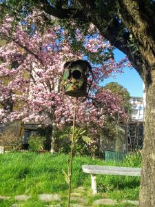 Lucca appartamento "Incanto" Toscana