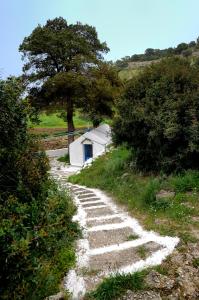 Luxury Island Villa, Aegina Aegina Greece