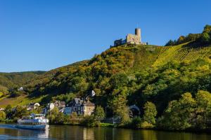 Moseltalblick