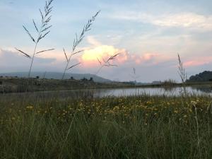 Connemara Trout Lodge