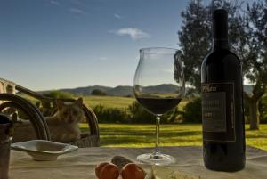 Bio Agriturismo Il Melograno di Banditella Ristorante