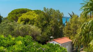 Hotel Komodor(Dubrovnik)