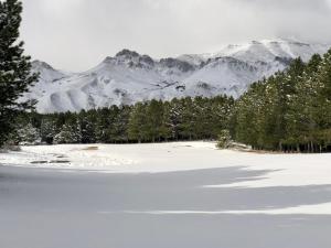 Chalé in Chapelco Golf