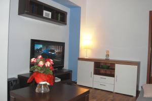 Apartament Kamienna