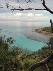 Appartements residence Mare Turchinu : photos des chambres