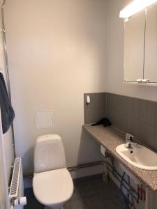 Ruka Center Chalet 3B1