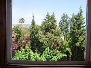 Alquileres Cap y Corp