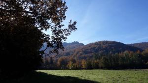 Apartment Rychtrovna