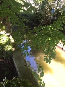 Hostellerie De La Riviere photo 9