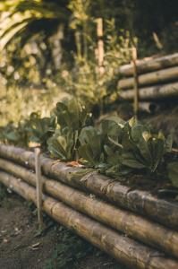 Cabañas en la montaña Viga Vieja