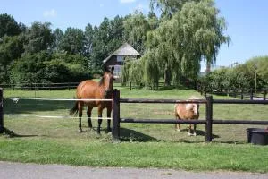 B&B Pension "Op'e Koai" - Raerd