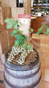 Agriturismo Le Caldane