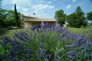 Maisons de vacances Le Mas de Fournery : photos des chambres