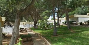 Double Room room in Sun Club El Dorado