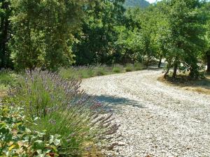 La Drugère - Gîtes et Roulottes