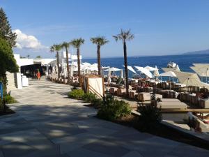 Apartment Secret Garden