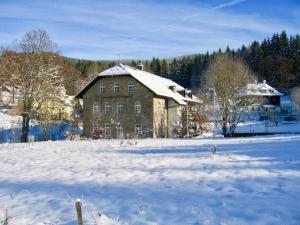 Waldliebe Spiegelhütte - Ferienwohnung am Bach