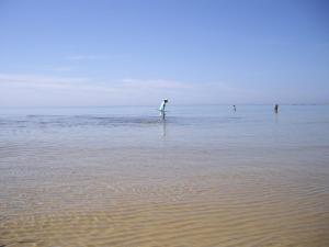 Villa Punta Piccola sul mare