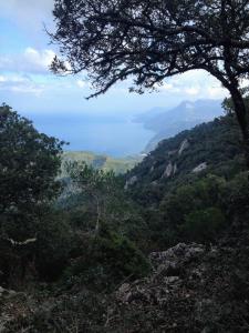 Home in Tramuntana