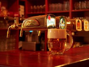 Penzion a Restaurace Simanda