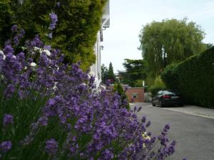 Hotels Hotel Du Croise : photos des chambres