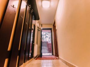 Spacious Apartment near Peles