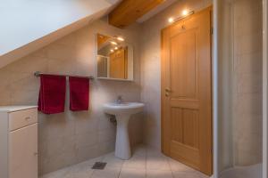 Koritnica Apartments