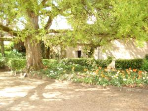 B&B / Chambres d'hotes Domaine de Planchoury : photos des chambres