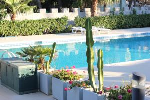 Verdemare Sardegna Uno img25