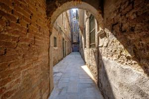 The Lions House APT3