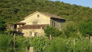 Appartements Lespine-10 min Caverne Pont d'Arc : photos des chambres