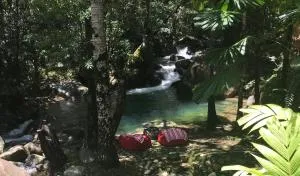 Daintree Secrets Rainforest Sanctuary - Daintree