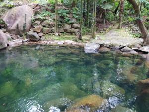 Daintree Secrets Rainforest Sanctuary